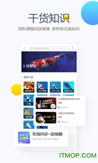 龙巅兴趣联盟