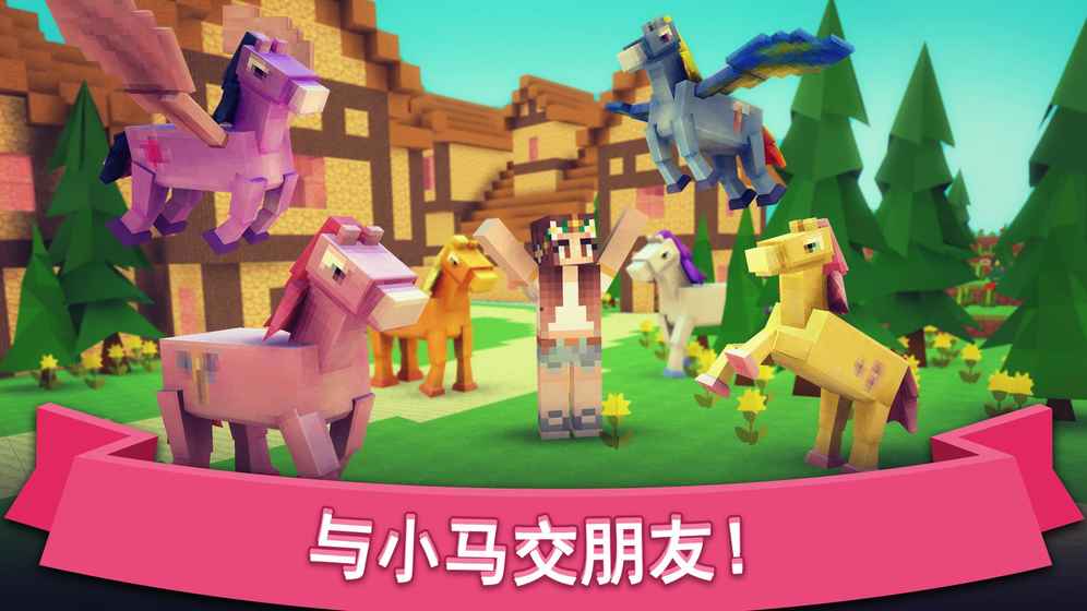 Pony Hospital