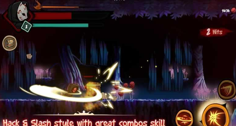Hollow Ninja