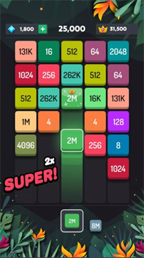 Z2 Blocks