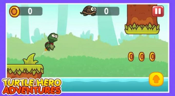 Turtle Hero Adventures