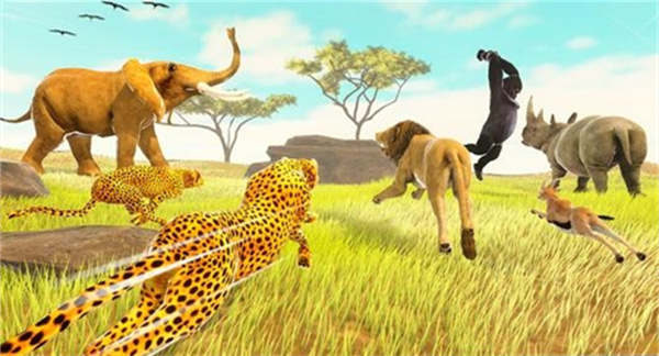 Furious Savanna Animal Race