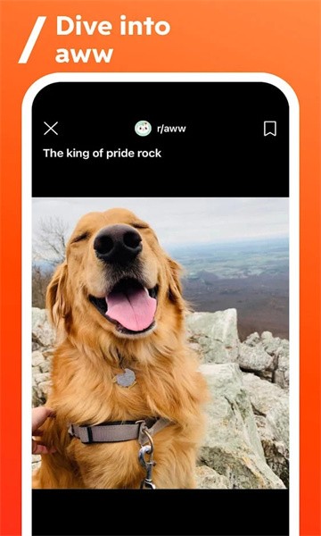Reddit
