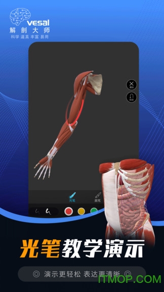 维萨里3D解剖大师