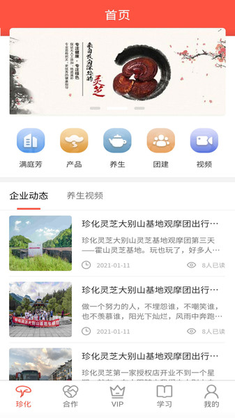 珍化灵芝
