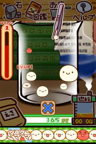 新種発見タマタマ研究所
