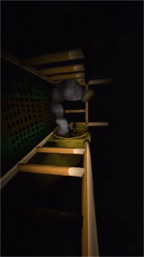 恐怖滑梯3