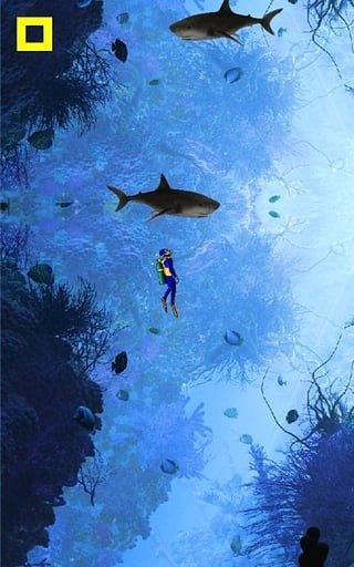 鲨鱼世界：生存逃脱