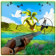 Bird Hunting Master