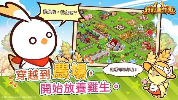 穀穀雞莊園