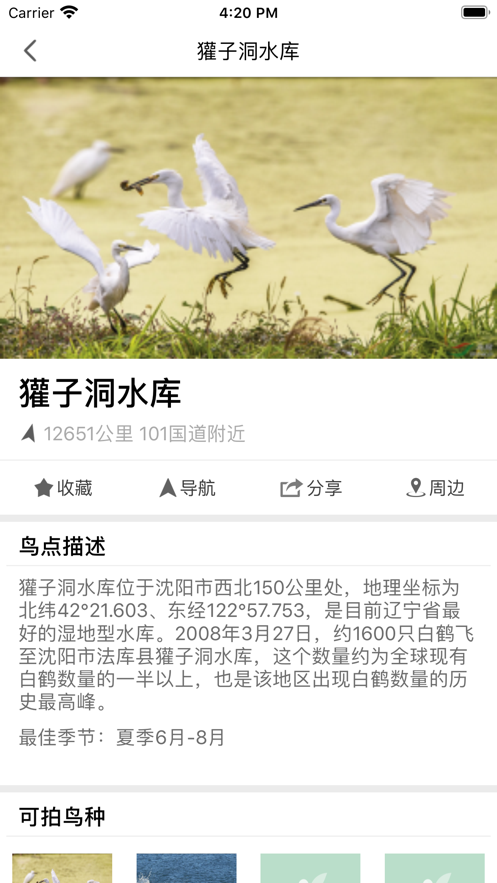 和地图鸟网版