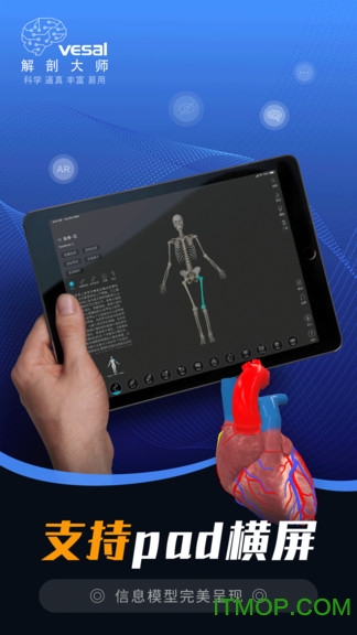 维萨里3D解剖大师