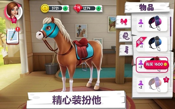 Horse Story