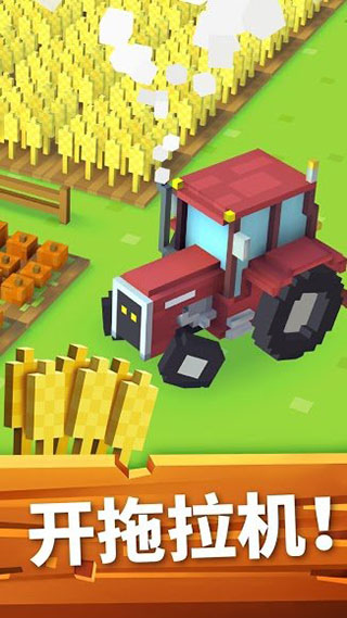 Blocky Farm