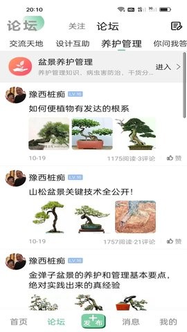 千盆