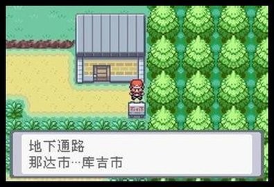 口袋妖怪火红802