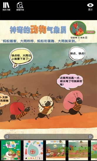 妈咪宝箱
