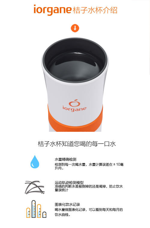 桔子水杯