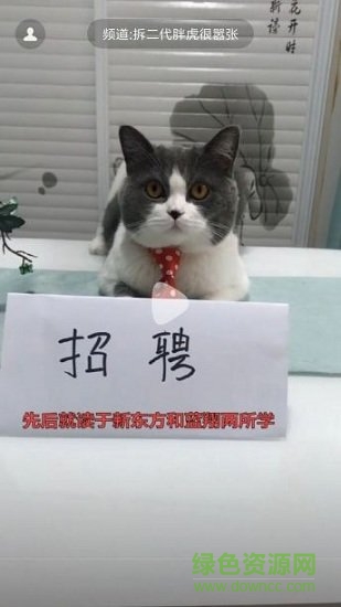 哈萌视频