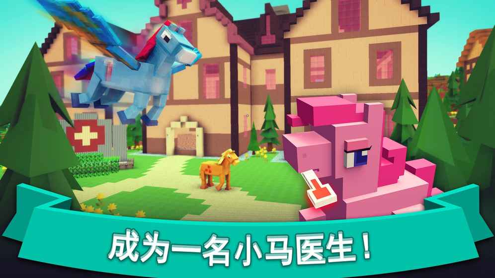 Pony Hospital