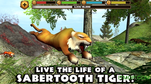 Sabertooth