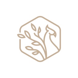 赛博悠游