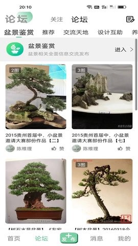 千盆