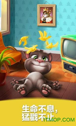 My Talking Tom
