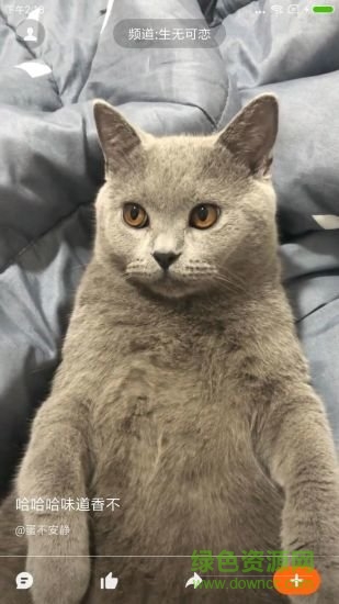 哈萌视频