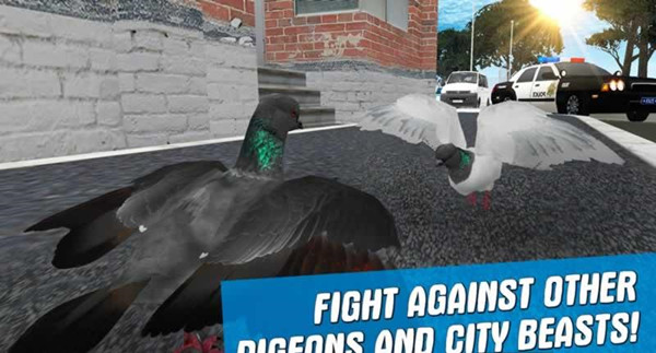 City Bird Pigeon Simulator 3D