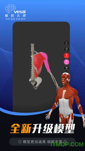 维萨里3D解剖大师