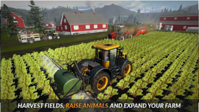 Corn Farm