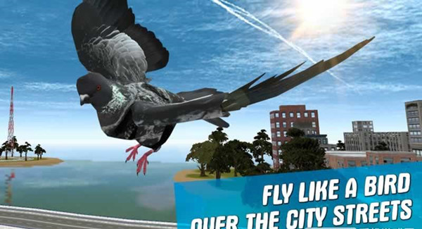 City Bird Pigeon Simulator 3D