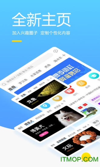 龙巅兴趣联盟