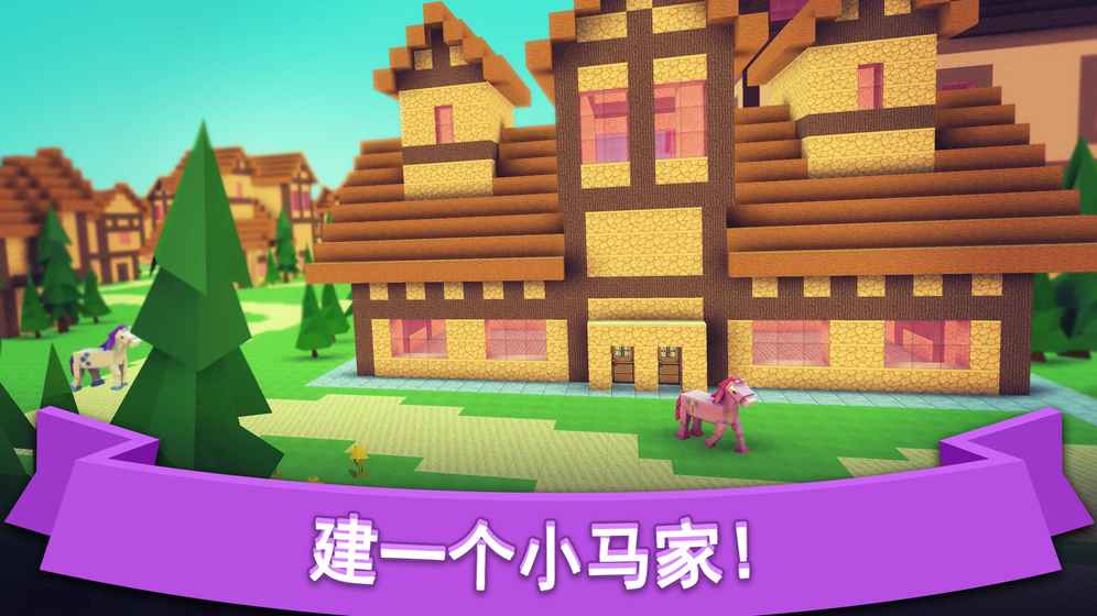 Pony Hospital