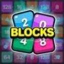 Z2 Blocks
