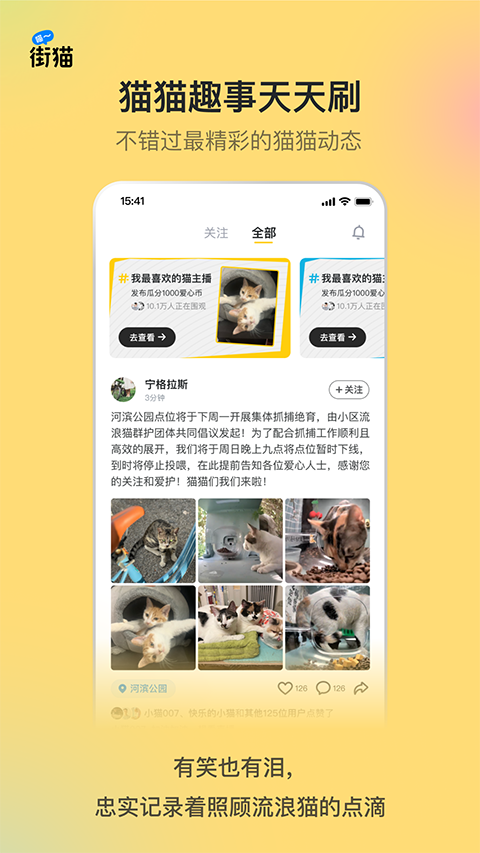 街猫