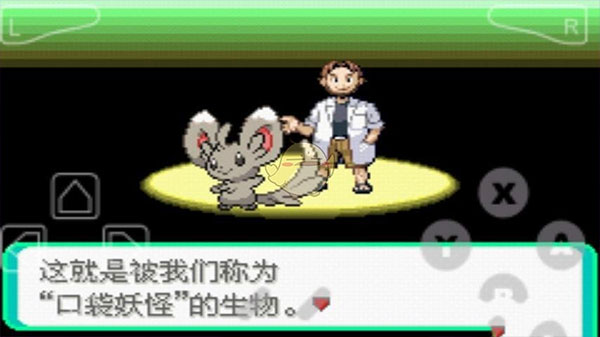 口袋妖怪-漆黑的魅影EX-BW