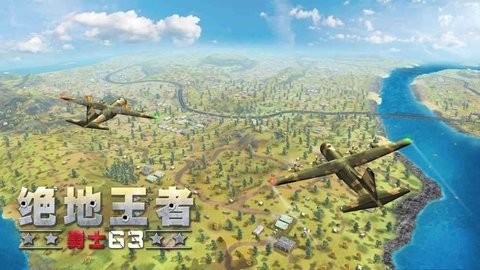 Battle Royale 3D - Warrior63