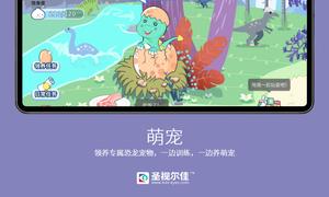 圣视尔佳弱视训练软件