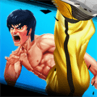 Kung Fu Attack 4