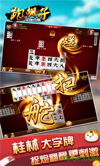 随便跑胡子