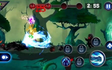 Shadow Dragon Fight Ninja 2