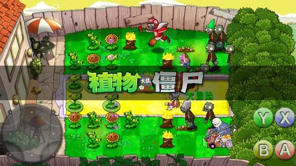 植物大战