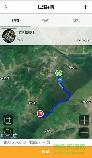 野线