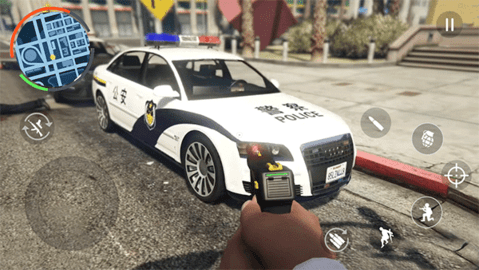 China Police