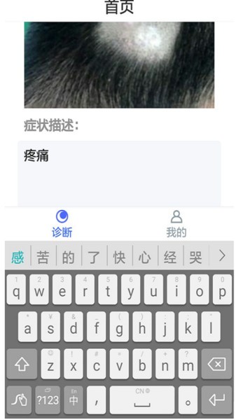 面部皮肤病智能诊断