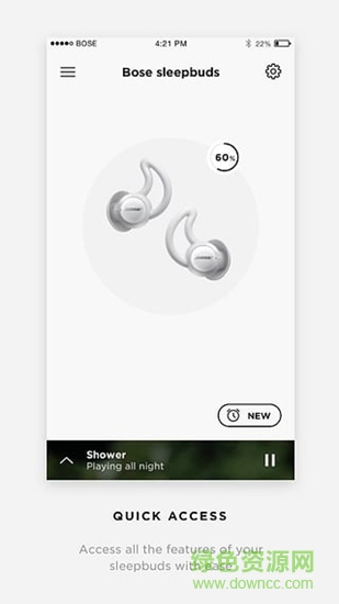 Bose Sleep
