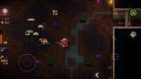 Dungeon VS Gunner
