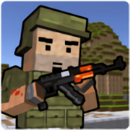 Block Soldier Survival Games